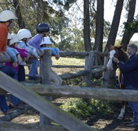 Harlow Park Horse Riding - eAccommodation