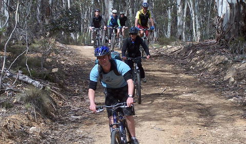Boyd River Loop - eAccommodation 2