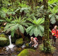 Baw Baw National Park - eAccommodation