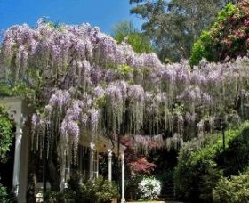 Mount Wilson NSW eAccommodation
