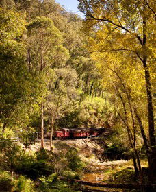 Walhalla Goldfields Railway - eAccommodation 3