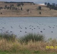 Lake Liddell Recreation Area - eAccommodation