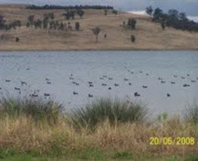 Lake Liddell Recreation Area - eAccommodation 0