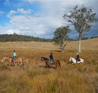 Chapman Valley Horse Riding - eAccommodation