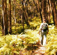 Federal Pass - eAccommodation