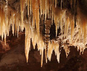 Wombeyan Caves - eAccommodation 1