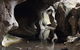 Wombeyan Caves - thumb 7