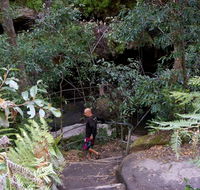 Leura Cascades Fern Bower - eAccommodation