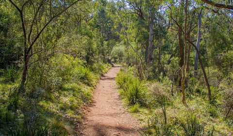 Mares Forest Creek Walking Track - eAccommodation 0