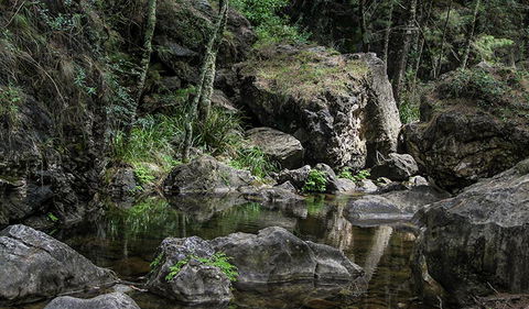 Mares Forest Creek Walking Track - eAccommodation 1