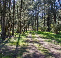 Wombeyan Waterfall walking track - eAccommodation