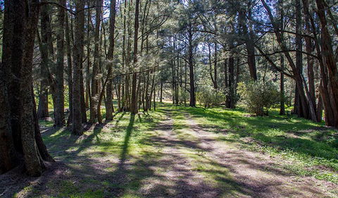 Wombeyan Waterfall Walking Track - eAccommodation 0