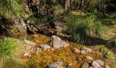 Wombeyan Waterfall Walking Track - eAccommodation 1