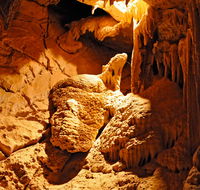 Fig Tree Cave - eAccommodation