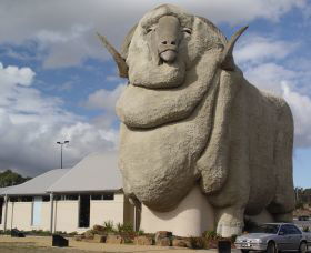 Big Merino - eAccommodation 0