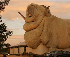Big Merino - eAccommodation 3