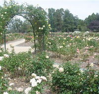 Victoria Park Rose Garden - eAccommodation