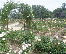 Victoria Park Rose Garden - eAccommodation 0