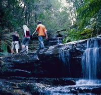 South Lawson Waterfall Circuit - eAccommodation