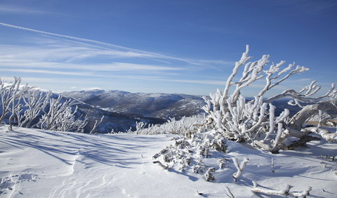 Rock Creek Snowshoe Track - eAccommodation 0