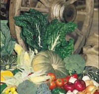 Mulgowie Real Farmers Markets - eAccommodation