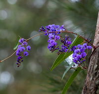 Mann River Nature Reserve - eAccommodation