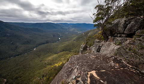Mann River Nature Reserve - eAccommodation 2