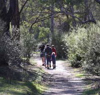 Syd's Rapids and Aboriginal Heritage Trail Avon Valley - eAccommodation