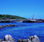 King Island Dairies - eAccommodation