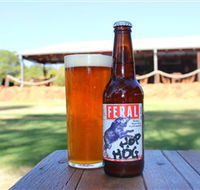 Feral Brewing Company - eAccommodation