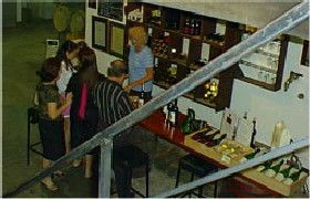 John Kosovich Wines - eAccommodation 1