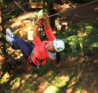 Trees Adventure Grose River Park - eAccommodation