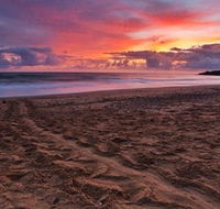Mon Repos Beach - eAccommodation
