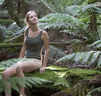 Barrington Tops National Park - Honeysuckle Forest Track - eAccommodation