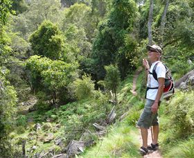 Mitchell River Walking Track - eAccommodation 1