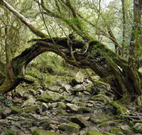 Mitchell River National Park - eAccommodation