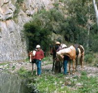 Yarramba Horse Riding - eAccommodation