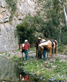 Yarramba Horse Riding - eAccommodation 0
