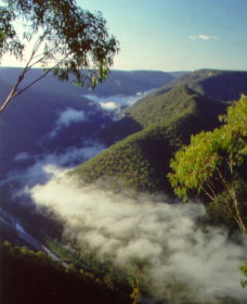 Long Point Lookout - eAccommodation 0