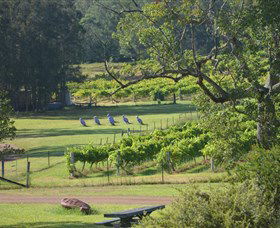 Wollombi Wines - eAccommodation 8