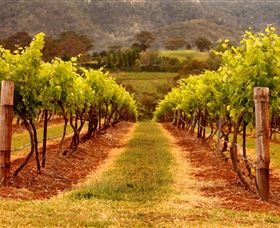 Hunter Valley Wine School - eAccommodation 1