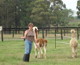 Langdale Farm - eAccommodation 4