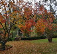 Bellbird Cottage - eAccommodation
