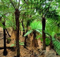 Pegarah Private Nature Reserve  Parenna Place - eAccommodation