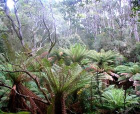 Pegarah Private Nature Reserve & Parenna Place - eAccommodation 1
