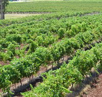 Pokolbin Brothers Wines Hunter Valley - eAccommodation