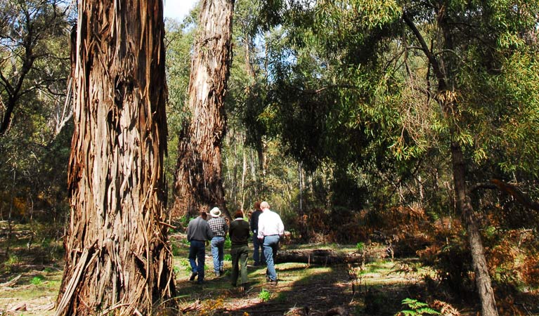 Bendoura NSW eAccommodation
