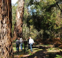 Tallaganda National Park - eAccommodation