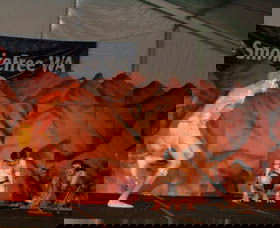 Wadumbah Aboriginal Dance Troupe - eAccommodation 3