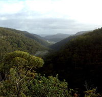 Nattai Gorge Lookout - eAccommodation